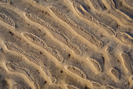 sand pattern texture on the beach in cold weather at the Baltic sea