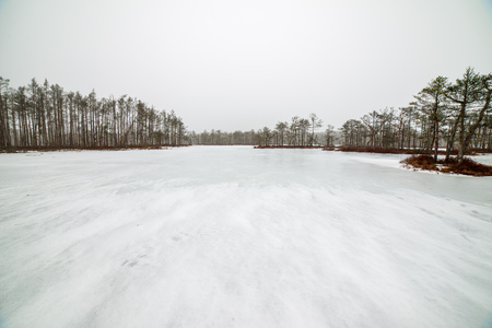 walking on a frozen forest lake with no snow and fog all over the horizon. misty winter dayの写真素材