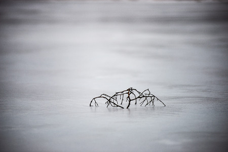walking on a frozen forest lake with no snow and fog all over the horizon. misty winter dayの写真素材
