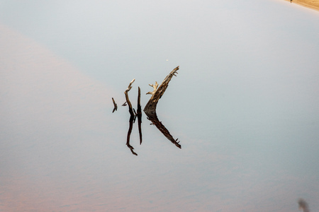 wooden poles from old breakwater leftovers in the sea with sand beach and blue waterの写真素材