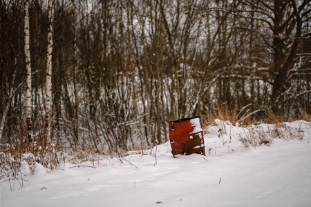 illegal trash in wet damp forest in autumn with naked trees and empty groundの写真素材