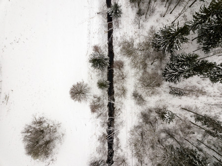 country small river lines in fields in winter and bushes from above. aerial drone image in snow white wonter weatherの写真素材