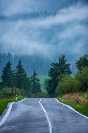 wavy asphalt road in mountain area in forest with fog covering trees and wet surface with white lines. slovakiaの写真素材