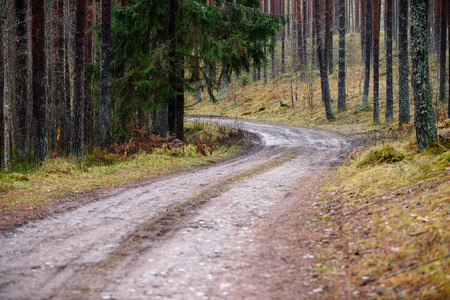 empty country gravel road with mud puddles and bumps. dirty road surface with sand and small stones