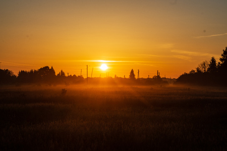 colorful sunrise sunset in misty summer meadow with fog and sun shining in wet grassの写真素材