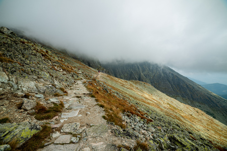 rpcky mountain top details in slovakian Tatra, clouds over the tops in summerの写真素材