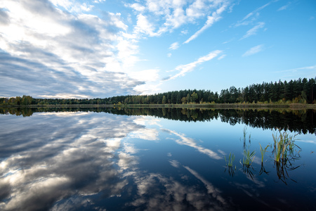 calm lake in bright sun light with reflections of clouds and trees and blue sky. summer in countrysideの写真素材