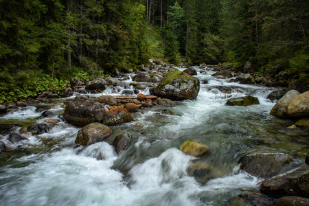 fast mountain rocky river in forest with waterfall in autumnの写真素材
