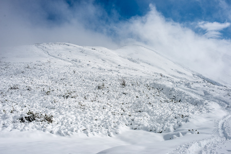 snow covered tourist trails in slovakia tatra mountains. misty winter day with heavy snow on peaks, narrow trailの写真素材