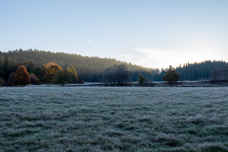 first winter frost in sunrise light in countryside. frosty tree leaves and grass in fields with autumn colored trees in backgroundの写真素材