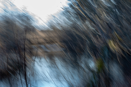 lens motion blur natural in nature background. autumn colors abstract