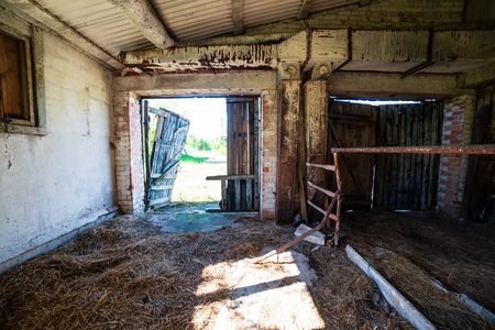 old abandoned farmhouse interior in green summer bushesの写真素材