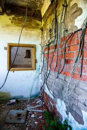 old abandoned farmhouse interior in green summer bushesの写真素材