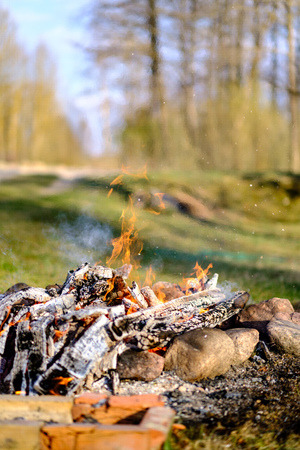 open fire burning logs in field with green grass with blur background and stones around fireplace