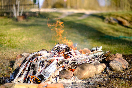 open fire burning logs in field with green grass with blur background and stones around fireplace