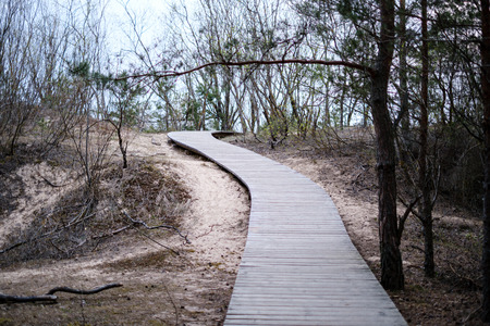 wooden plank boardwalk near sea in the dunes over the sandの写真素材