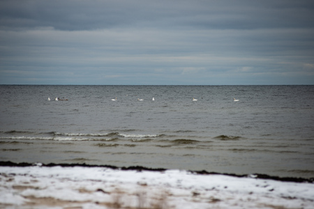 frozen snow covered beach by the sea in harsh winterの写真素材