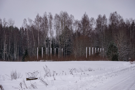 fields and forests covered in snow in winter frost. empty countryside landscapeの写真素材