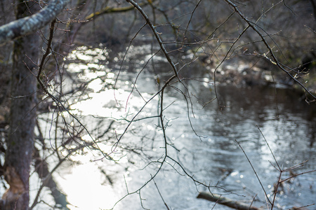 scenic river view landscape of forest rocky stream with trees on the shores. beautiful light
