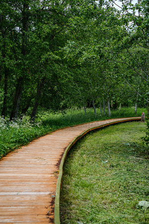 beautiful wooden plank pathway walkway in green pasture in summer forestの写真素材