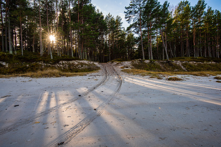 simple countryside dirt road in spring with green foliage and gravelの写真素材