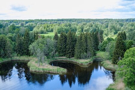 spring by the lake with green foliage grass in meadow and blue water and blue sky
