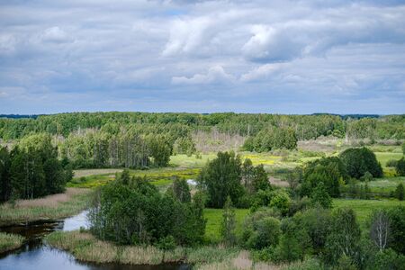 spring by the lake with green foliage grass in meadow and blue water and blue skyの写真素材