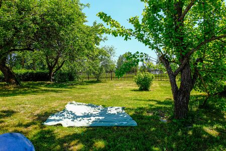 sunny countryside garden with green meadow and greenhouse in summer