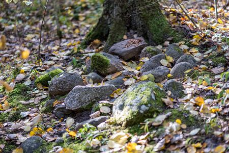 large rock in sand in countryside, isolated stoneの写真素材