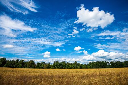 blue sky with white clouds over countryside landscape and tree tops in summerの写真素材
