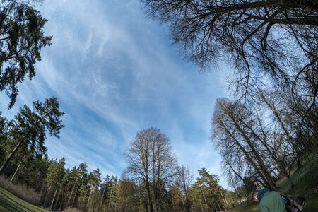 blue sky with white clouds over countryside landscape and tree tops in summer