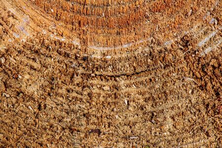 pile of fireplace log wood in open air in countryside