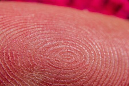 macro image of human finger prints in magnification close upの写真素材