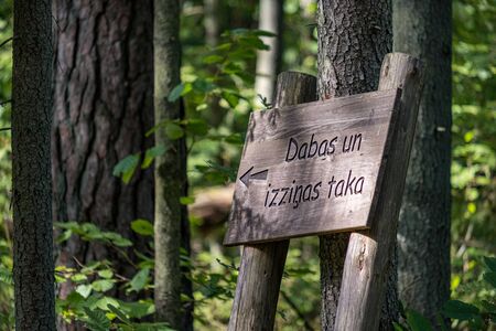 tourist direction signs in forest made of wood planksの写真素材