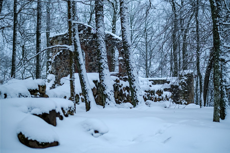 stone brick ruins of old building. fortress walls in green countrysideのeditorial素材