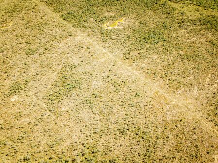 endless green forest from drone aerial image in summer. birds eye view textureの写真素材