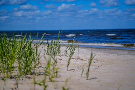 sea beach with blu sky and waves in summer sandの写真素材