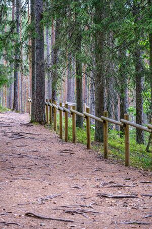 wooden fance in countryside nature trail in summerの写真素材