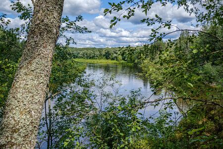 river Gauja in Latvia, view through the trees in summer day