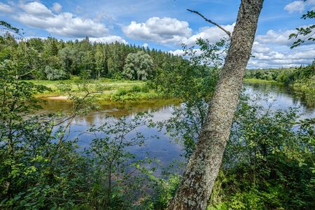 river Gauja in Latvia, view through the trees in summer dayの写真素材