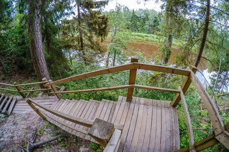 old wooden plank footbridge with stairs in forest green summer time for recreation in nature