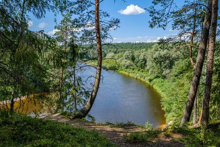 recreation area in forest near river in summer sunny dayの写真素材