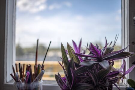 apartment window with flowers on the edge with blue sky background and old wooden window frame
