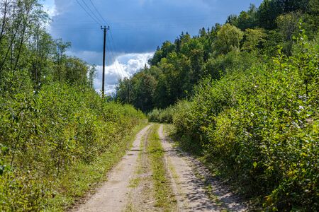 dirty gravel road in green forest with wet trees and sun rays in perspectiveの写真素材