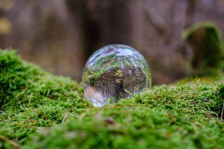 crystal glass ball against autumnal nature background with reflections in it. orange tree leavesの写真素材