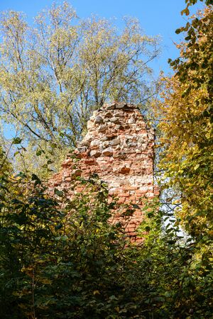 old red brick ruins of ancient castle in autumn colored natue. latviaの写真素材