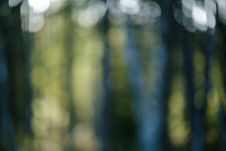 blur background tree leaves in wet autumn. foliage details in nature abstract patternの写真素材