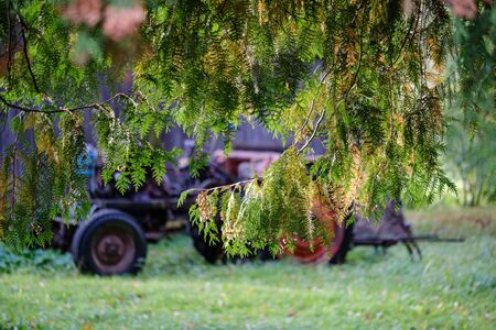 old rusty tractor abandoned in green meadow forestの写真素材