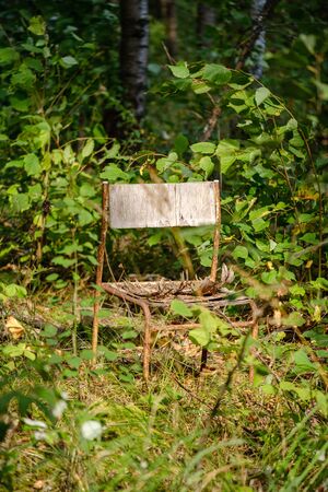 old wooden metal chair in the green forest in summerの写真素材