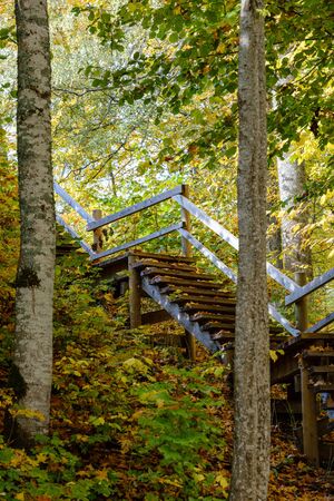 wooden stairs to watch tower in wet colored autumn day in countryside landscapeの写真素材